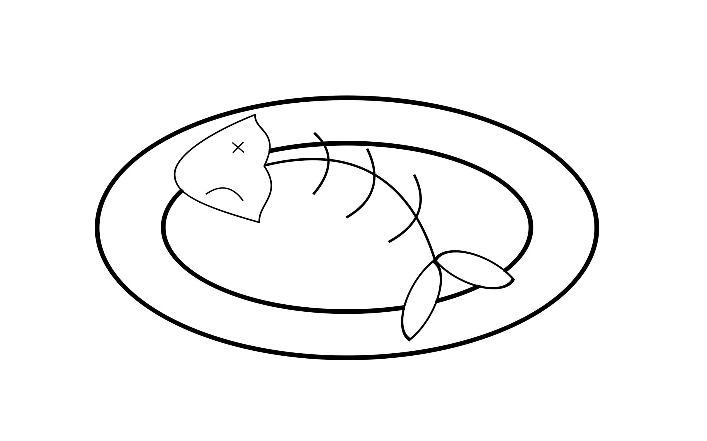 fish taco a couple wrong turns.